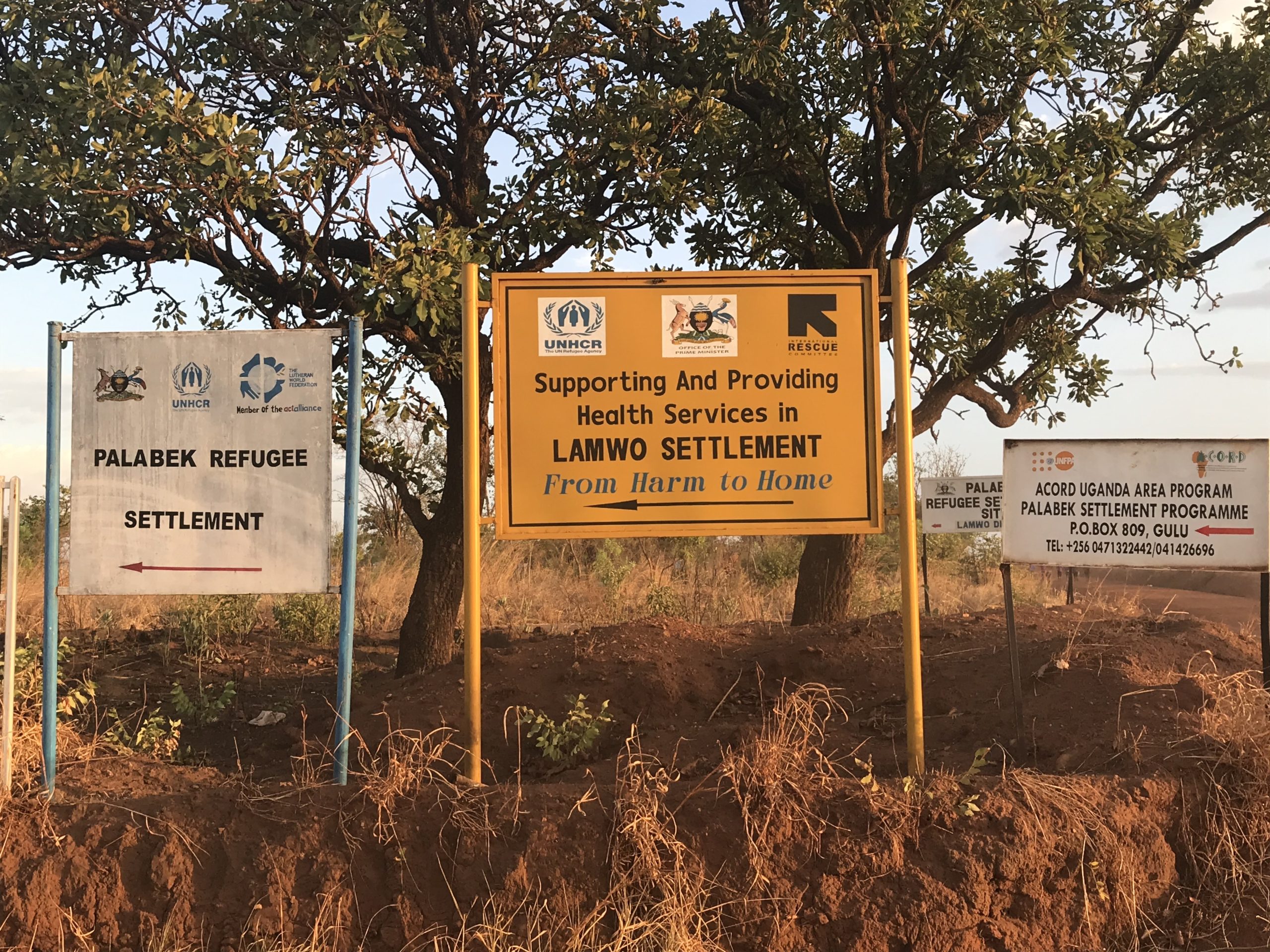 Three signs in a row stand in front of trees. They all have arrows pointing to the left which direct people to Palabek refugee settlement.