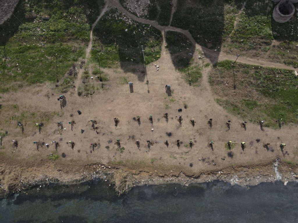 Citizens of Mosul voluntarily assembled along the Tigris riverside, in front of the twelfth-century Bash Tapia Castle, to participate in the Green Mosul Project by replanting trees.