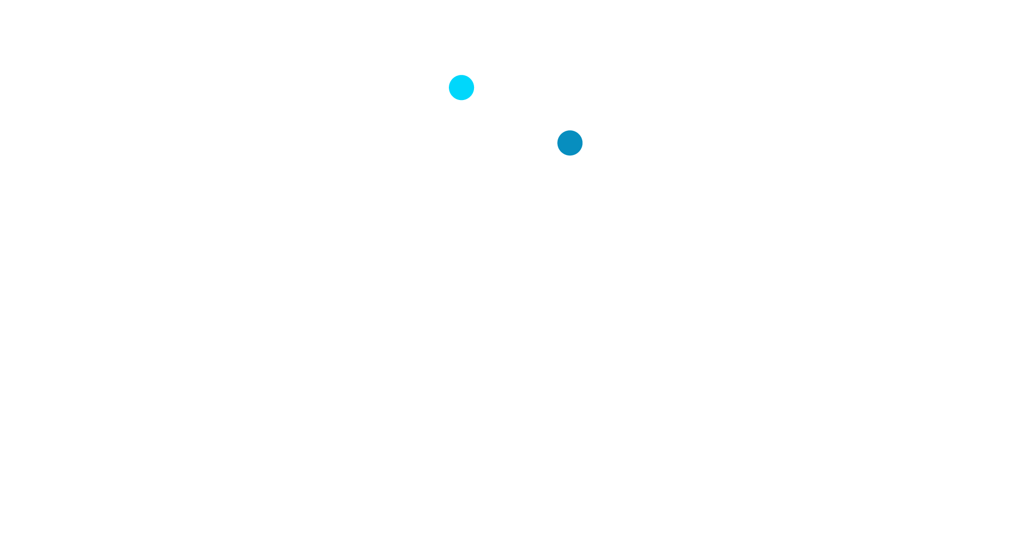 CSNS | Centre for Statecraft & National Security